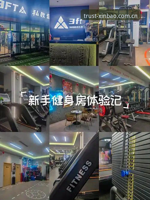 新宝体育专属空间使用心得：资深用户教你如何玩转体育新体验